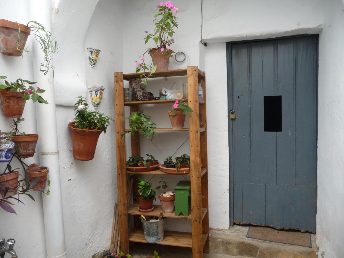 Vila Casa Sol Vejer de la Frontera Exteriér fotografie